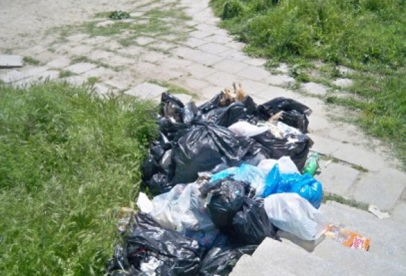 Maraton de reciclare a dozelor de pe litoral, în perioada 3-5 august
